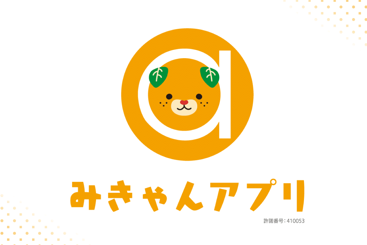 ポイントについて